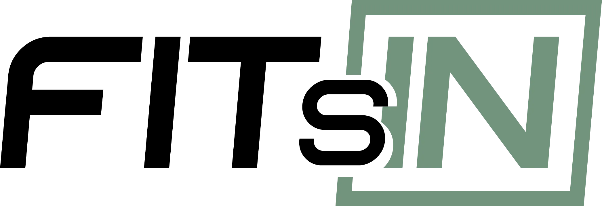 FitsIN Logo